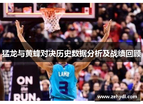 猛龙与黄蜂对决历史数据分析及战绩回顾