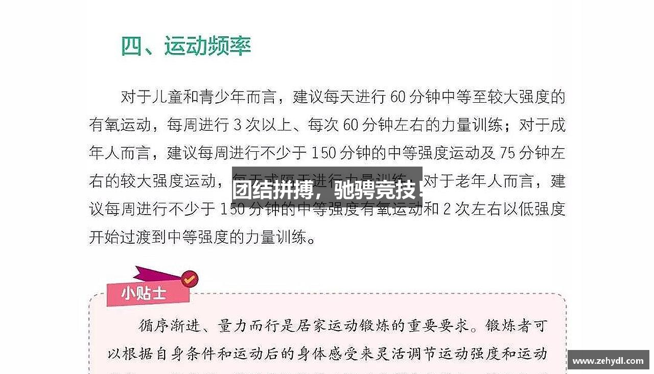 团结拼搏，驰骋竞技！